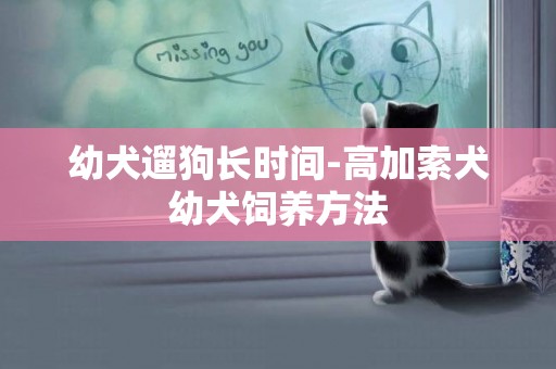 幼犬遛狗長時間-高加索犬幼犬飼養方法