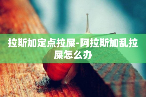 拉斯加定點拉屎-阿拉斯加亂拉屎怎么辦