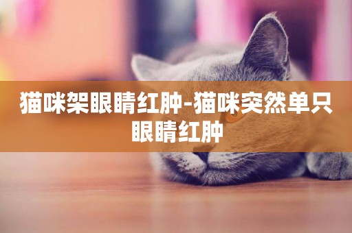 貓咪架眼睛紅腫-貓咪突然單只眼睛紅腫