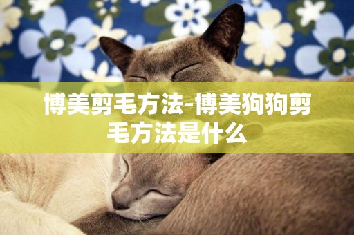 博美剪毛方法-博美狗狗剪毛方法是什么