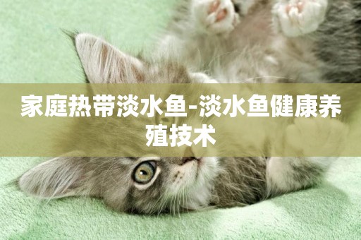家庭熱帶淡水魚-淡水魚健康養殖技術