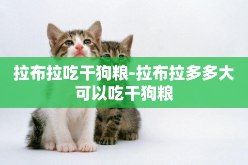 拉布拉吃干狗糧-拉布拉多多大可以吃干狗糧