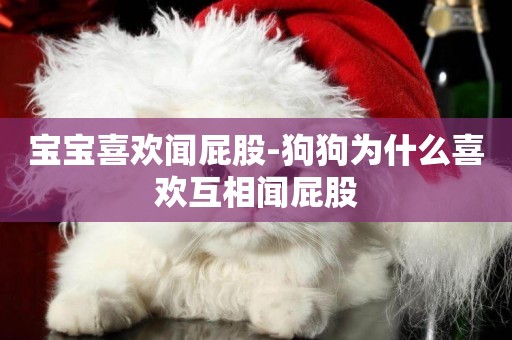 寶寶喜歡聞屁股-狗狗為什么喜歡互相聞屁股