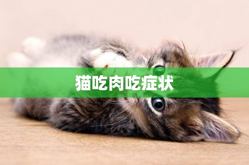 貓吃肉吃癥狀