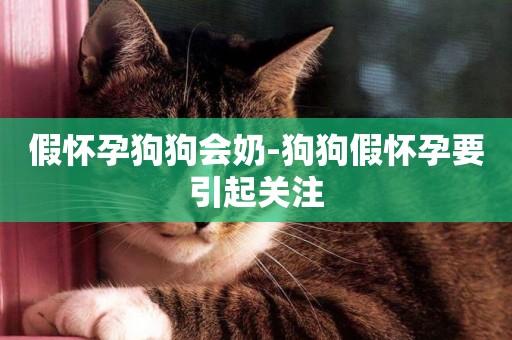 假懷孕狗狗會奶-狗狗假懷孕要引起關注