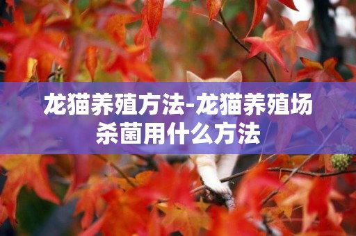 龍貓養殖方法-龍貓養殖場殺菌用什么方法
