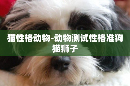 貓性格動物-動物測試性格準狗貓獅子