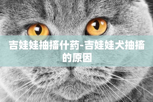 吉娃娃抽搐什藥-吉娃娃犬抽搐的原因
