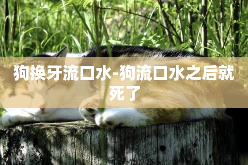 狗換牙流口水-狗流口水之后就死了