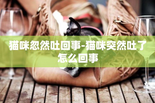 貓咪忽然吐回事-貓咪突然吐了怎么回事