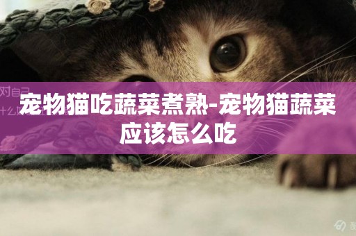 寵物貓吃蔬菜煮熟-寵物貓蔬菜應該怎么吃