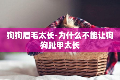 狗狗眉毛太長-為什么不能讓狗狗趾甲太長