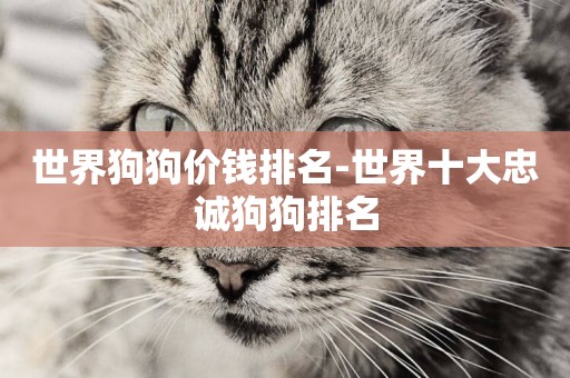 世界狗狗價錢排名-世界十大忠誠狗狗排名