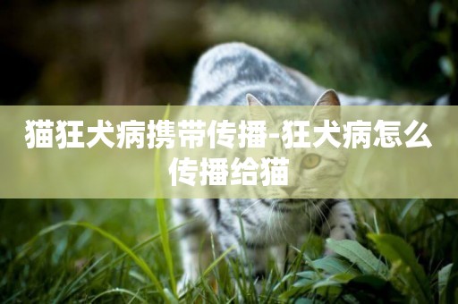 貓狂犬病攜帶傳播-狂犬病怎么傳播給貓