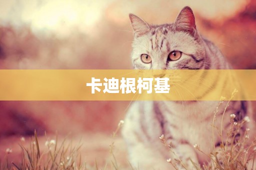 卡迪根柯基