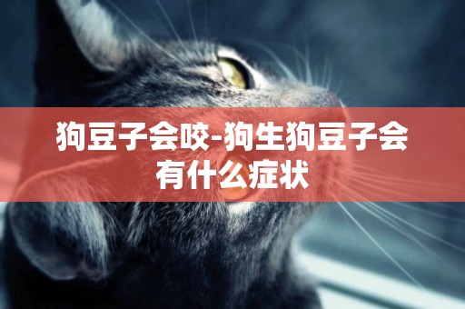 狗豆子會咬-狗生狗豆子會有什么癥狀
