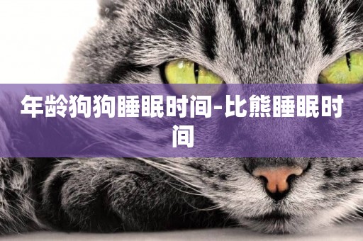 年齡狗狗睡眠時間-比熊睡眠時間