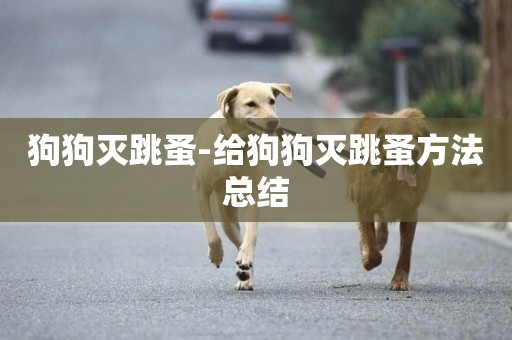 狗狗滅跳蚤-給狗狗滅跳蚤方法總結