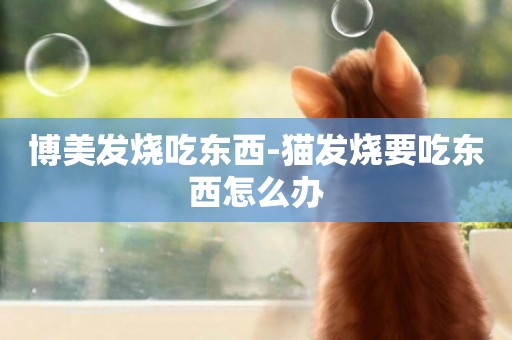 博美發燒吃東西-貓發燒要吃東西怎么辦