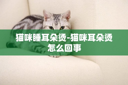 貓咪睡耳朵燙-貓咪耳朵燙怎么回事