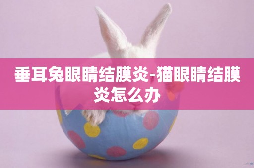 垂耳兔眼睛結膜炎-貓眼睛結膜炎怎么辦
