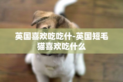 英國喜歡吃吃什-英國短毛貓喜歡吃什么