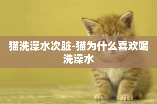 貓洗澡水次臟-貓為什么喜歡喝洗澡水