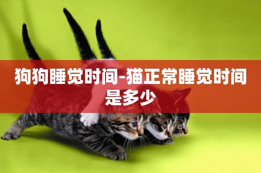 狗狗睡覺時間-貓正常睡覺時間是多少