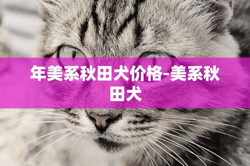 年美系秋田犬價格-美系秋田犬