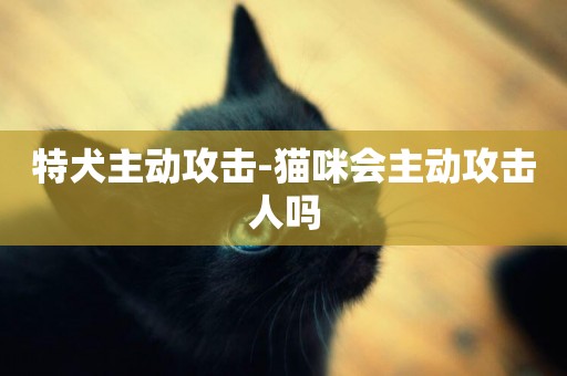 特犬主動攻擊-貓咪會主動攻擊人嗎