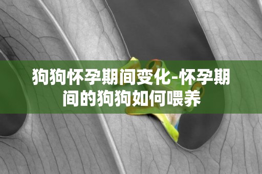 狗狗懷孕期間變化-懷孕期間的狗狗如何喂養