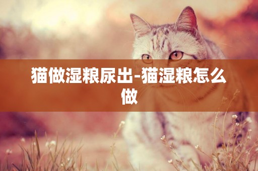 貓做濕糧尿出-貓濕糧怎么做