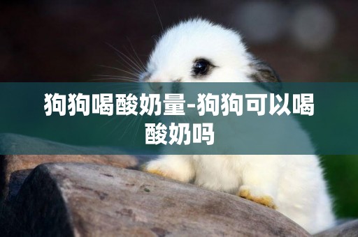 狗狗喝酸奶量-狗狗可以喝酸奶嗎