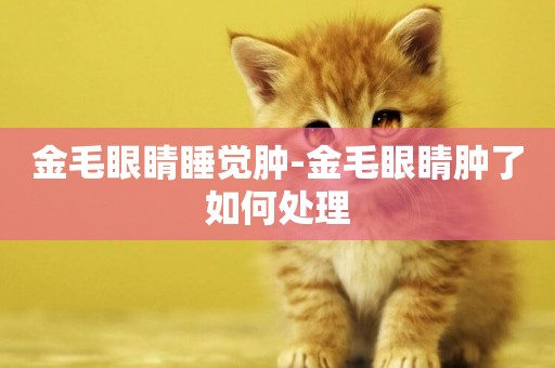 金毛眼睛睡覺腫-金毛眼睛腫了如何處理