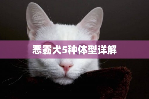 惡霸犬5種體型詳解