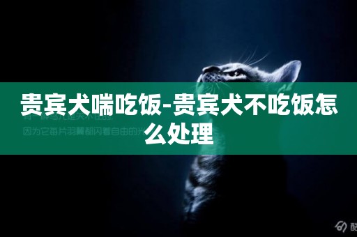 貴賓犬喘吃飯-貴賓犬不吃飯怎么處理