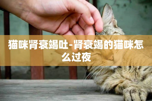 貓咪腎衰竭吐-腎衰竭的貓咪怎么過夜