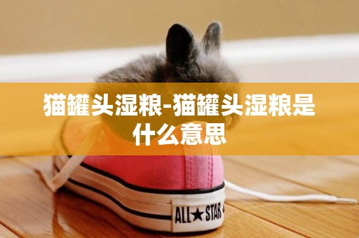 貓罐頭濕糧-貓罐頭濕糧是什么意思