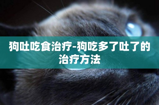 狗吐吃食治療-狗吃多了吐了的治療方法