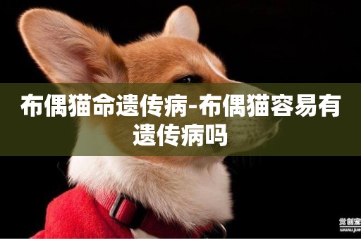 布偶貓命遺傳病-布偶貓容易有遺傳病嗎