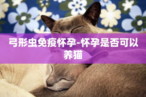 弓形蟲免疫懷孕-懷孕是否可以養貓