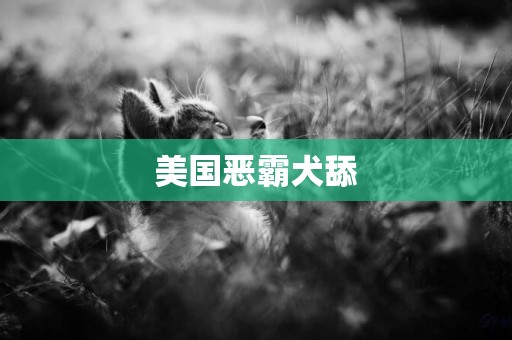 美國惡霸犬舔