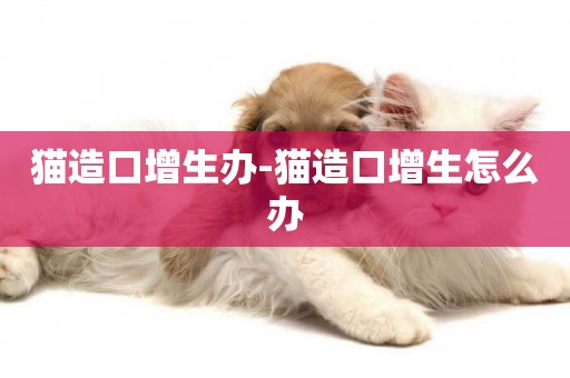 貓造口增生辦-貓造口增生怎么辦