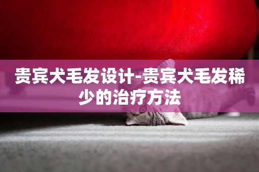 貴賓犬毛發設計-貴賓犬毛發稀少的治療方法