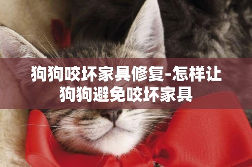 狗狗咬壞家具修復-怎樣讓狗狗避免咬壞家具
