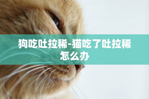狗吃吐拉稀-貓吃了吐拉稀怎么辦
