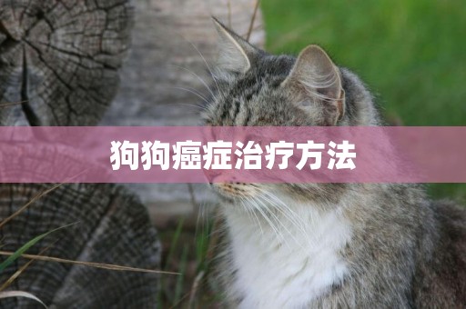 狗狗癌癥治療方法