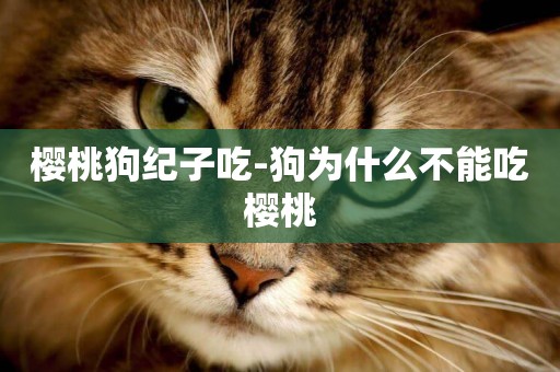 櫻桃狗紀子吃-狗為什么不能吃櫻桃