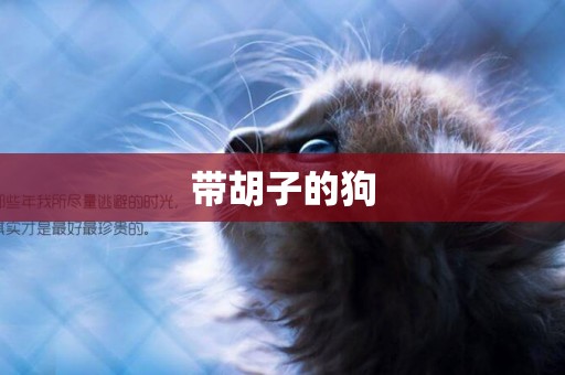 帶胡子的狗