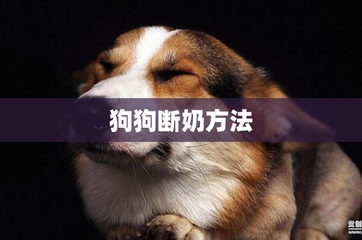 狗狗斷奶方法